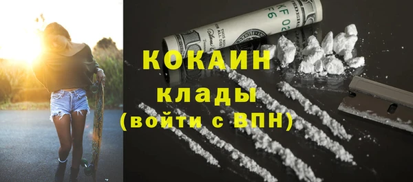 мет Елизово