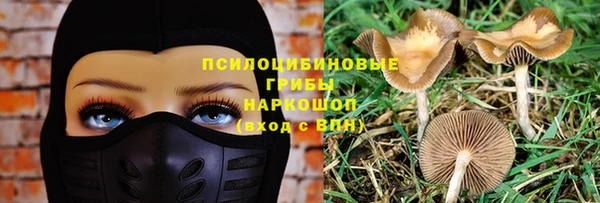 мет Елизово