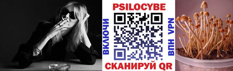 Галлюциногенные грибы Magic Shrooms  Купить  Кола 