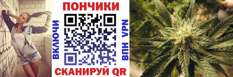 Канабис конопля  Купить где  Кола 